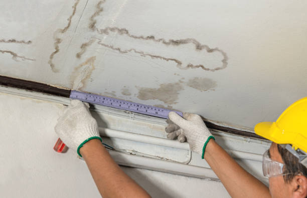 Reliable Burst Pipe Cleanup contractor in Canova, SD by Water Damage Irwin